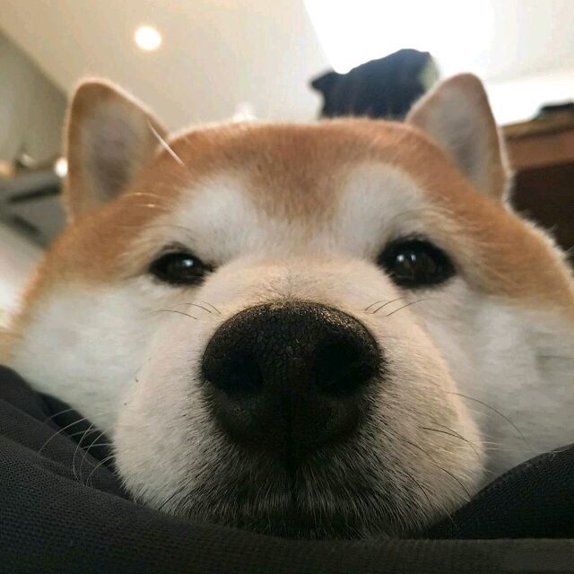 卓有成效的工程师